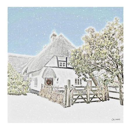 Delightful 3Bed Thatched Cottage Stockbridge  Exteriér fotografie